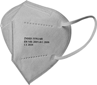 Atemschutzmaske FFP2 NR, Schnabelform, grau, Größe M