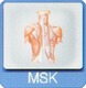 Muskuloskeletal